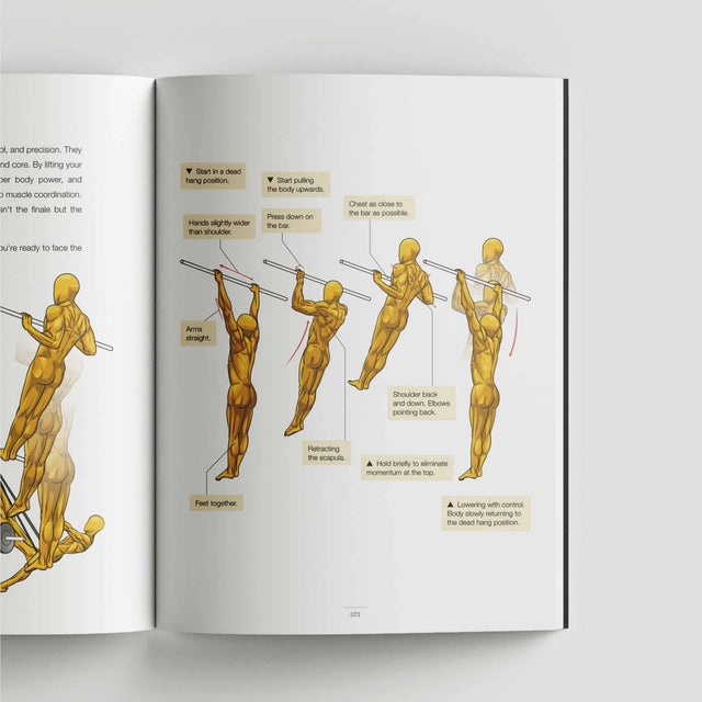Calisthenics Playbook for Push Pull Squat (Paperback)