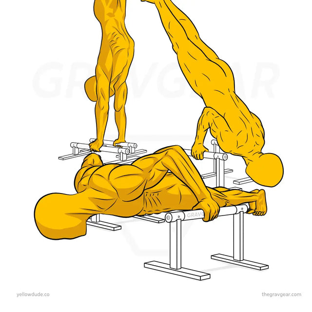 illustration of yellow dude mannequin calisthenics athletes doing deep push ups on parallettes, handstand push ups, and handstands demonstrating calisthenics shoulder exercises