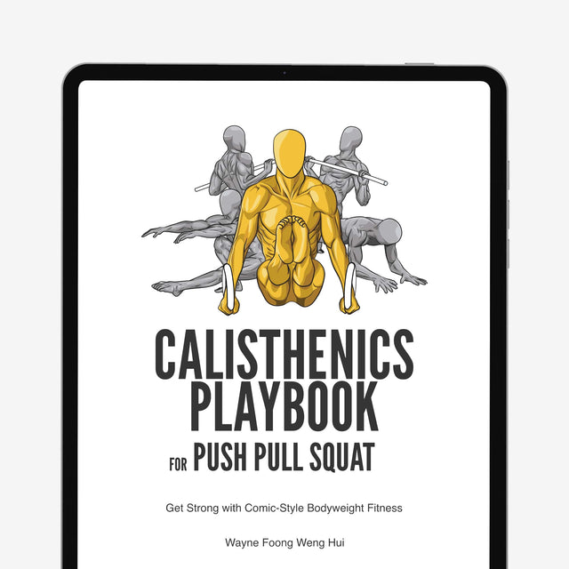 Calisthenics Playbook for Push Pull Squat (Digital book)