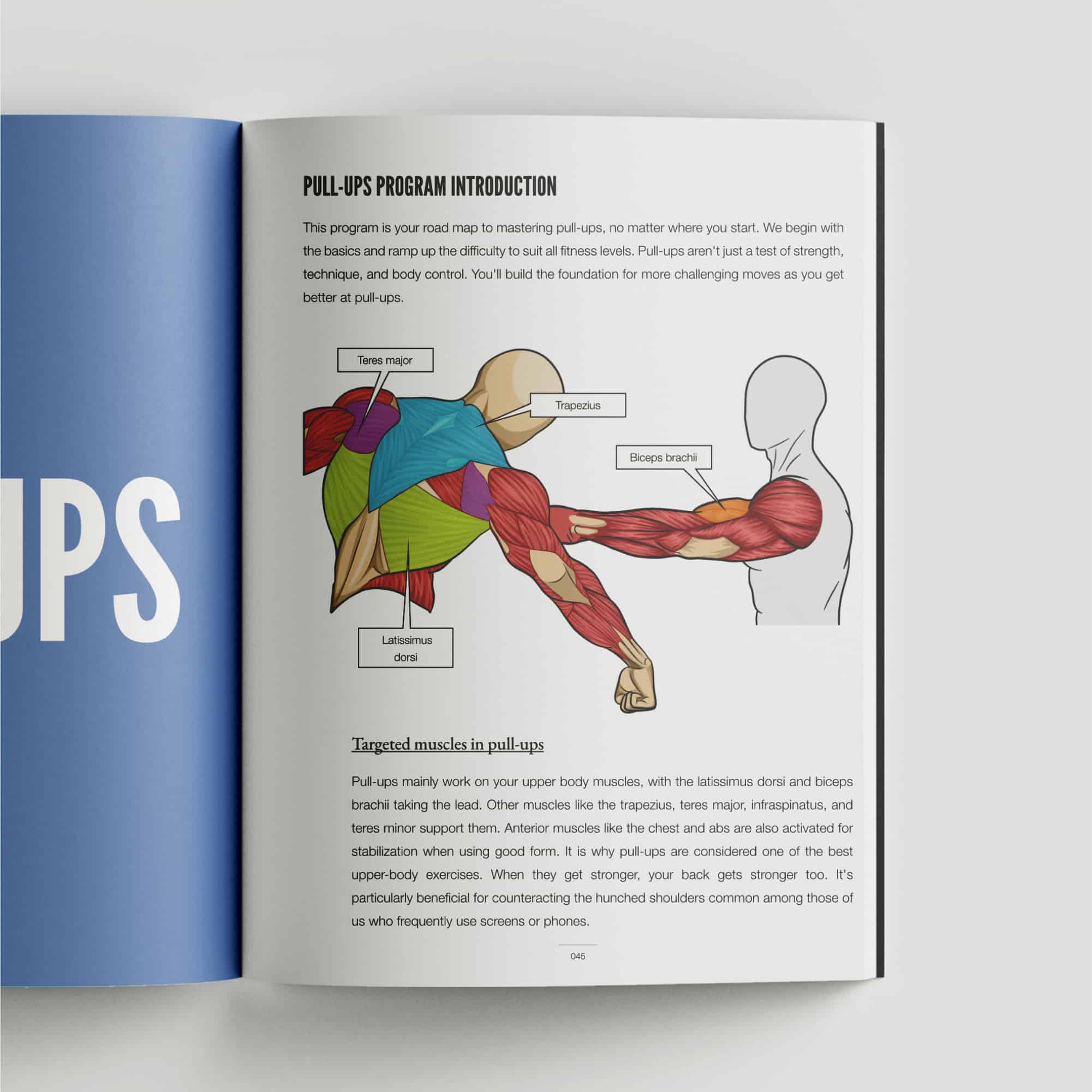 Calisthenics Playbook For Push Pull Squat (Physical Book) – Gravgear AU